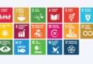 Do Plenário à Agenda 2030: como o STF conecta inovação, cidades sustentáveis e proteção ambiental